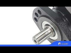 BMER-2-300-FH-SW Гидравлический мотор низкоскоростной, высокомоментный, рабочий объем 18.08 кубических дюймов