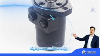 Гидравлический орбитальный двигатель BMPH-100-H2-IS